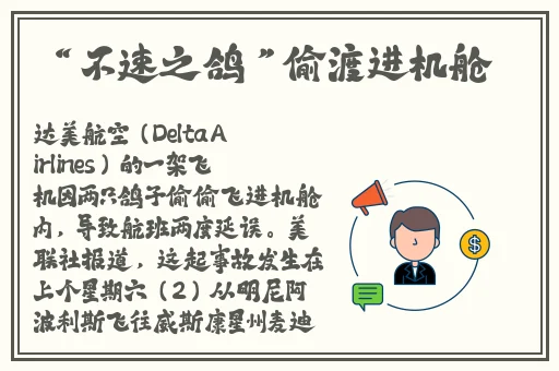少女免费观看片TV哔哩哔哩
